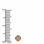 Golden Petals Diamond Studs