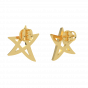 Shinning  Star  Diamond Studs