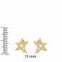 Shinning  Star  Diamond Studs